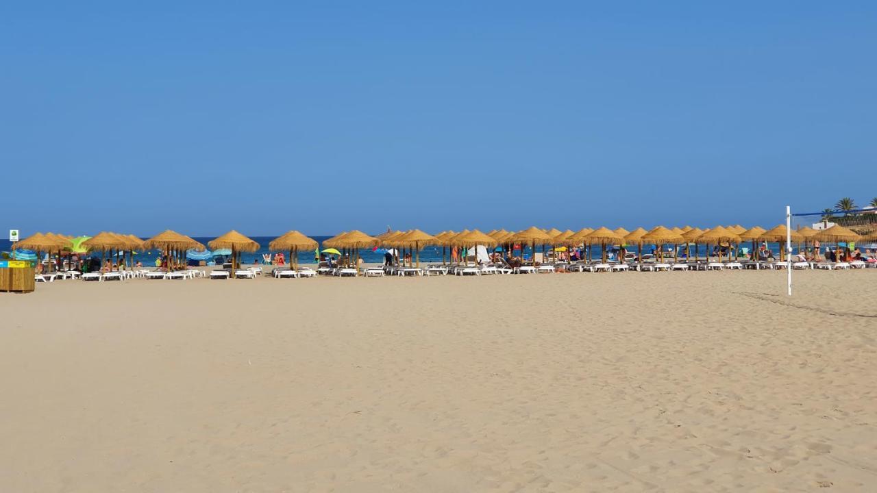 Modern Beach Studio Шабія Екстер'єр фото